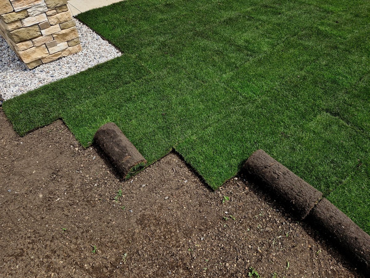 Fresh green sod being unrolled across a prepared soil surface during a full lawn renovation