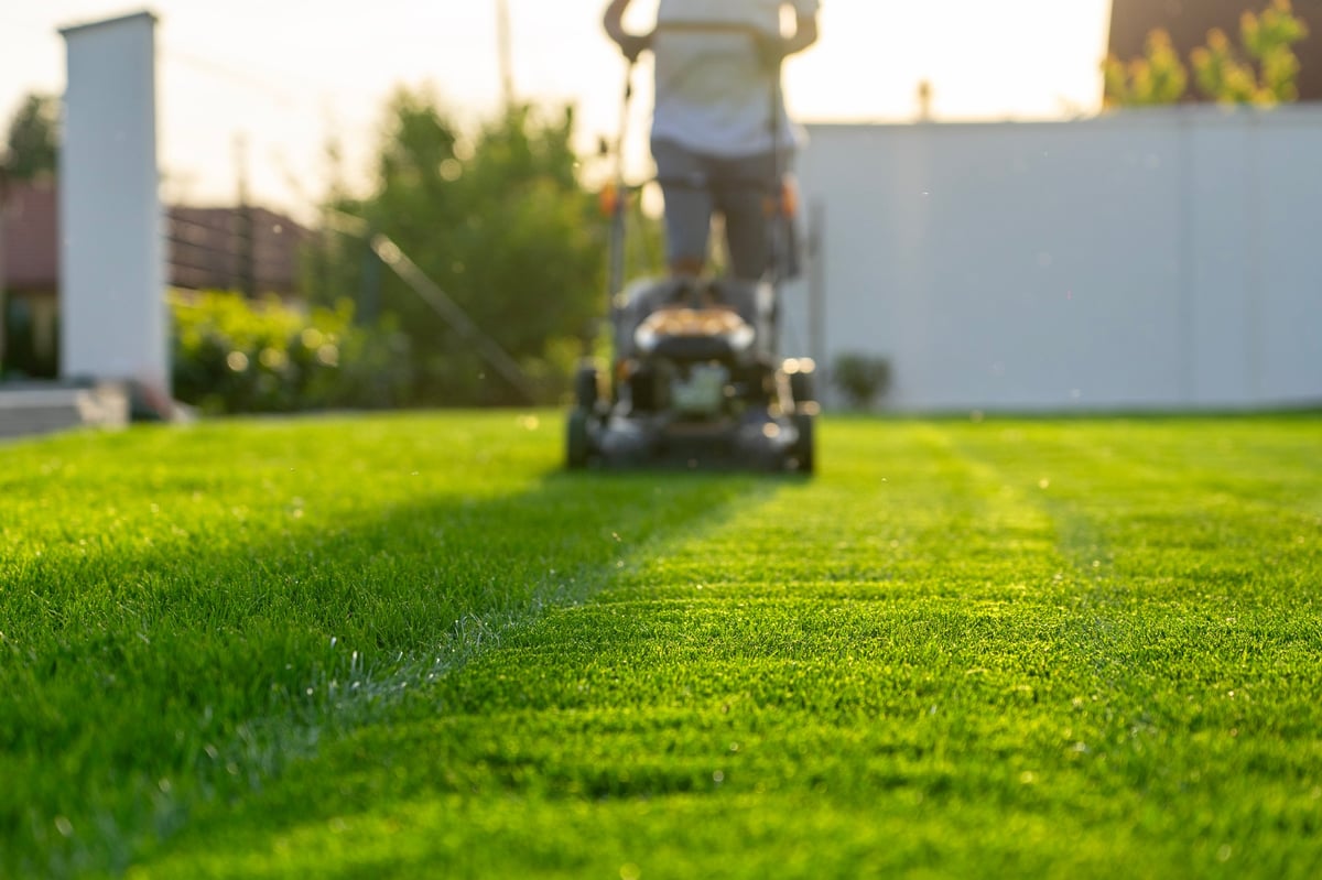 Precision lawn mowing creating immaculate stripes on a Middlesex County property