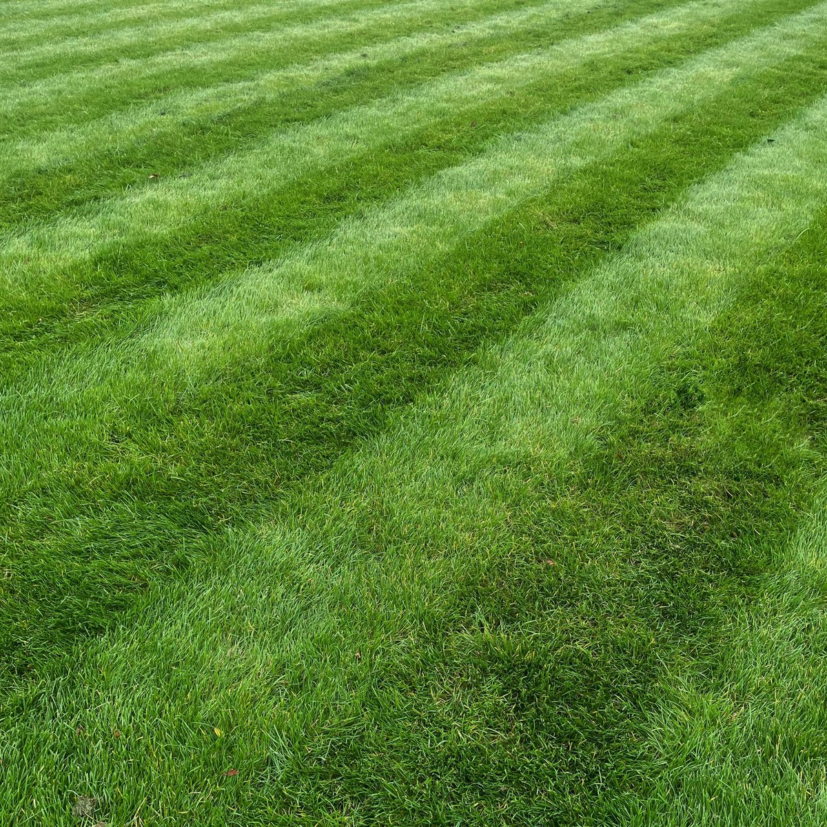 A well-maintained Ayer property lawn and landscape
