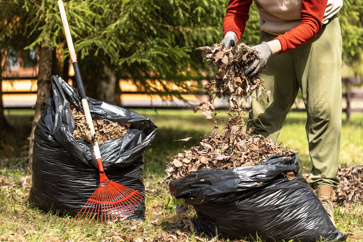 A crew raking and bagging fallen autumn leaves during a residential fall cleanup