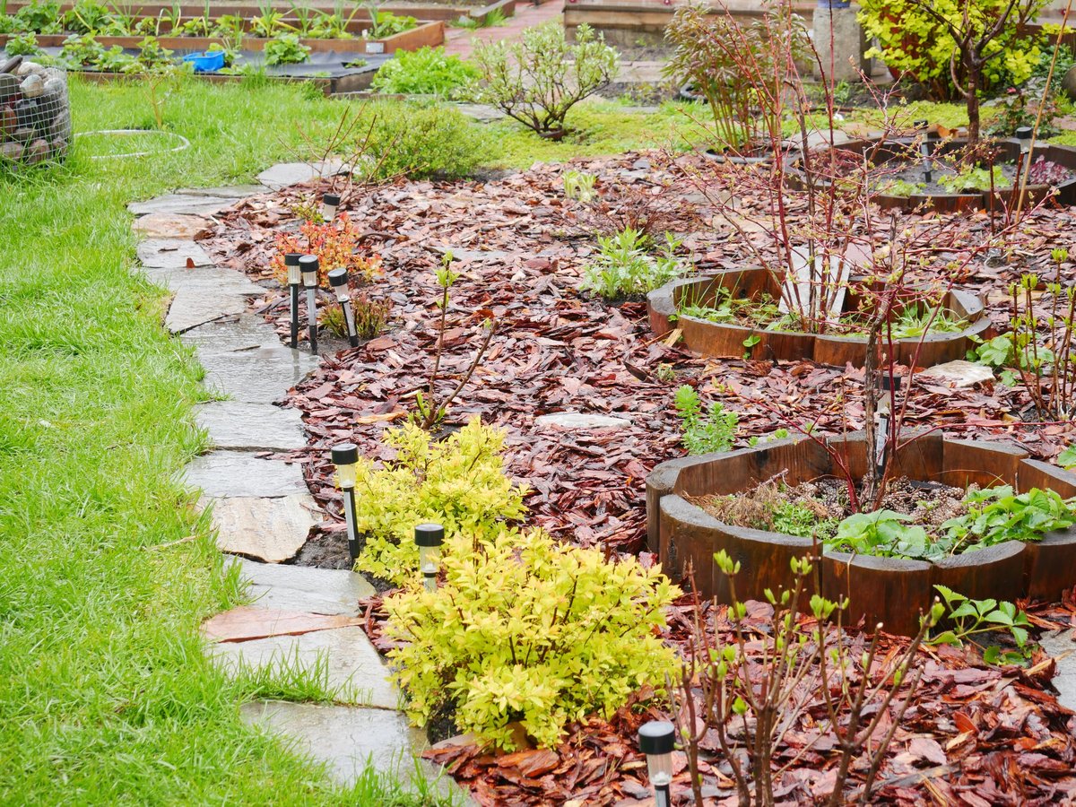 Stone walkway bordered by green lawn and fresh dark mulch beds with small shrubs, residential landscape detail